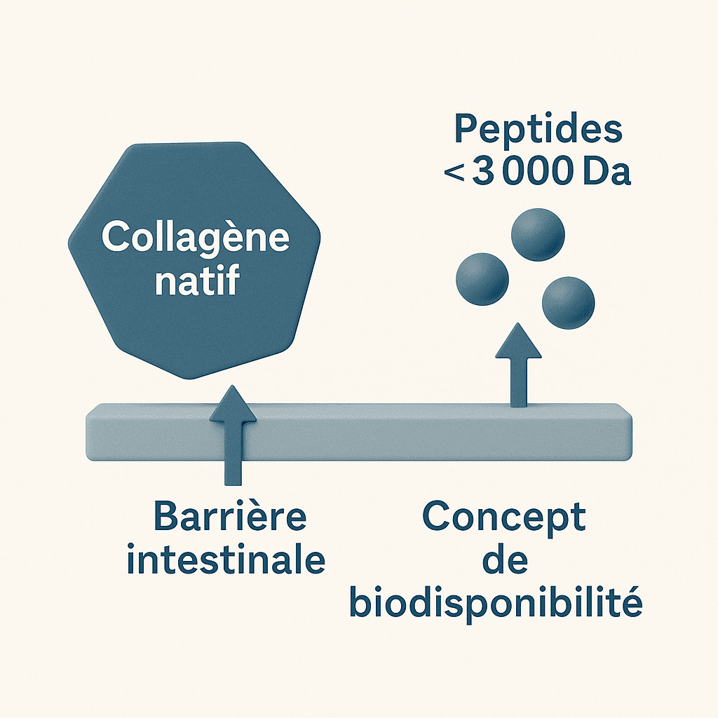 ChatGPT Image 28 aout 2025 14 46 34 1