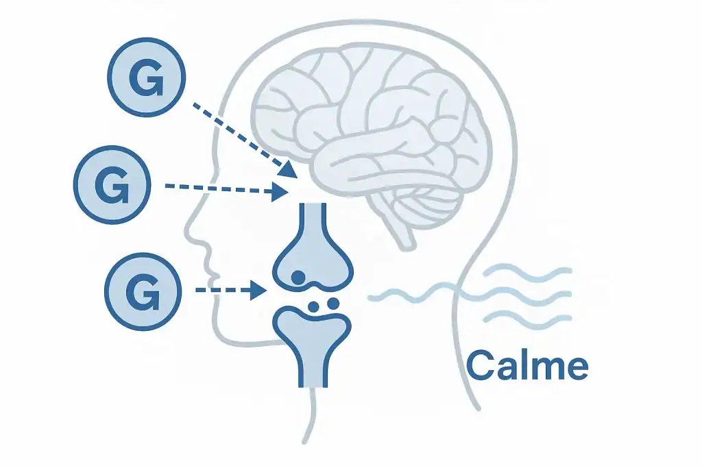 Schéma expliquant comment la glycine du collagène interagit avec le système nerveux pour favoriser la détente et le sommeil.