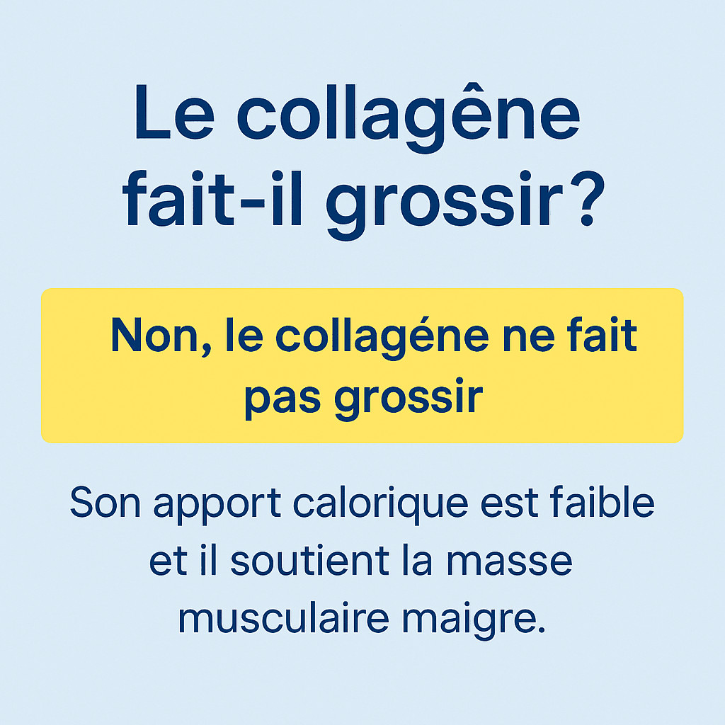 Infographie expliquant que le collagène ne fait pas grossir et soutient la masse musculaire maigre