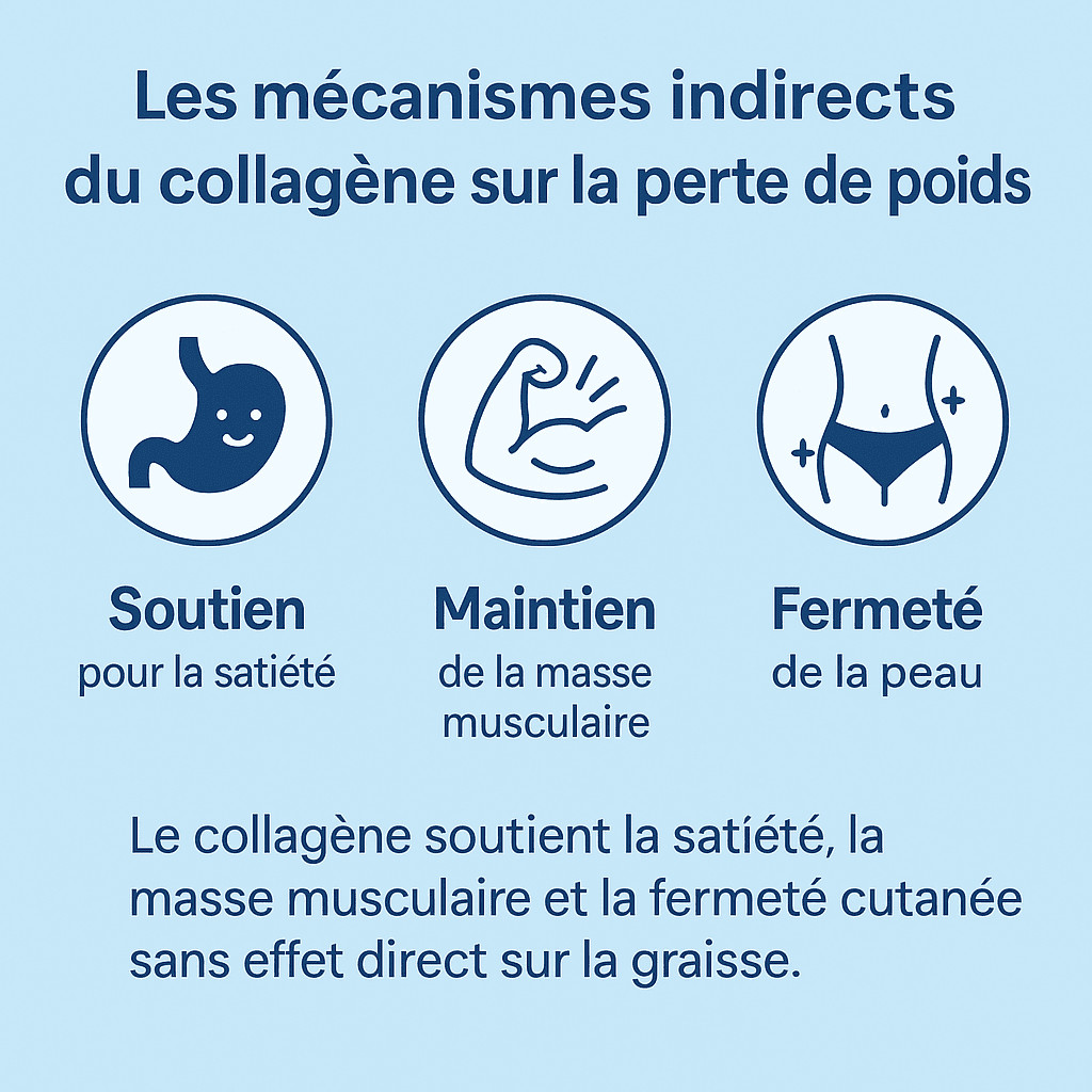 Schéma comparatif du collagène hydrolysé : sources marines et bovines, formes poudre, gélules, liquide